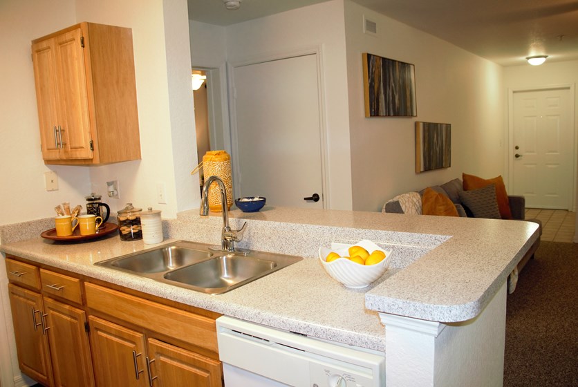 Brookside Apartments Gainesville, FL Swamp Rentals